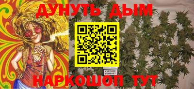 гашик Аргун