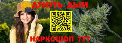 гашик Аргун