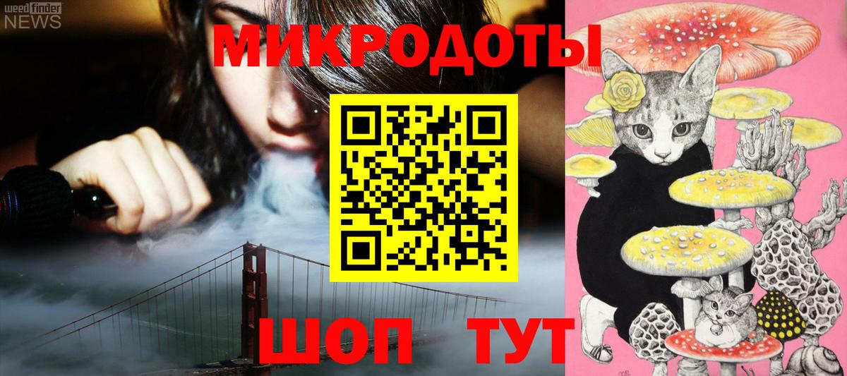 Альфа ПВП Великий Новгород